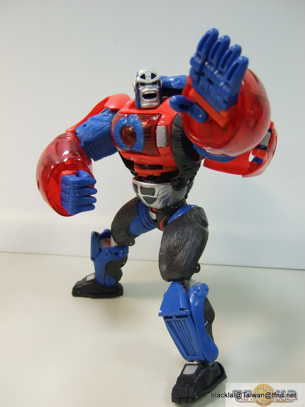 Year Of The Monkey Optimus Primal Out Of Box Show Platinum Edition Compared With Original  (46 of 50)